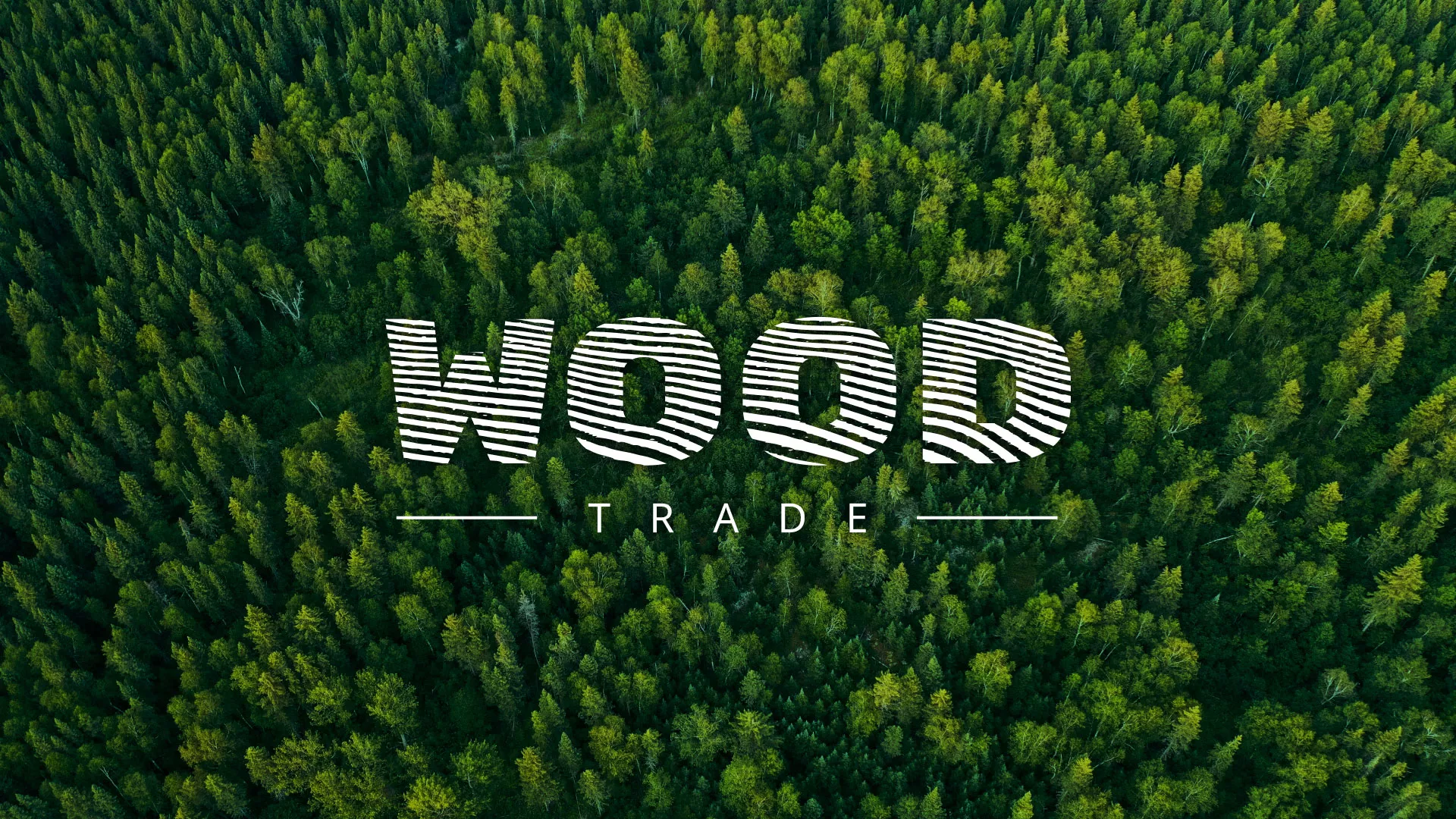Разработка интернет-магазина компании «Wood Trade» в Азнакаево